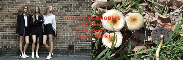 прущая мука Медногорск