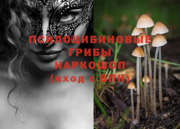 стаф Мегион