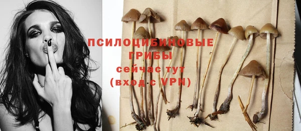 прущая мука Медногорск