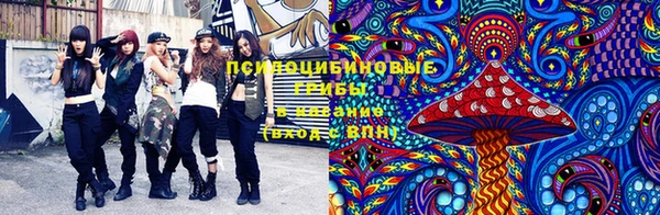 прущая мука Медвежьегорск