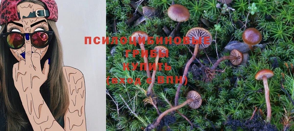 прущая мука Медвежьегорск