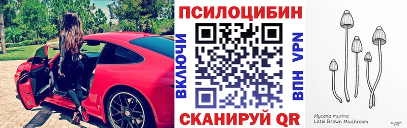 где продают наркотики  Щучье  Галлюциногенные грибы MAGIC MUSHROOMS 